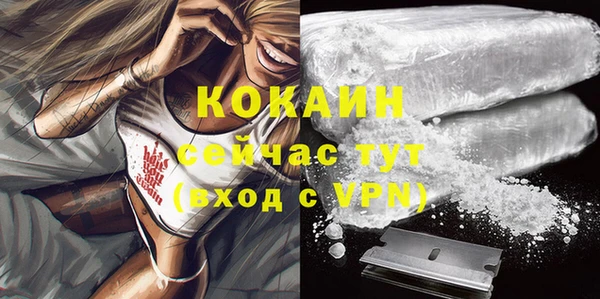 индика Лагань