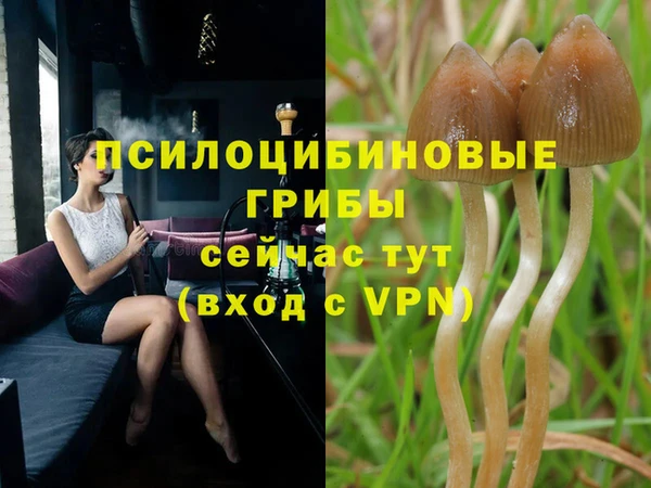 прущая мука Лабытнанги