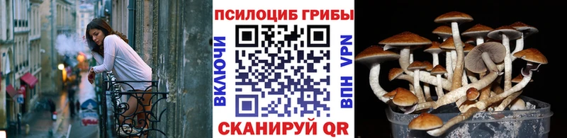 Галлюциногенные грибы Psilocybe  Купить  Озёры 